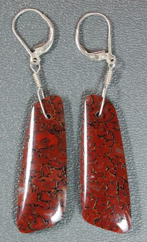 Red Agatized Dinosaur Bone Earrings #5252